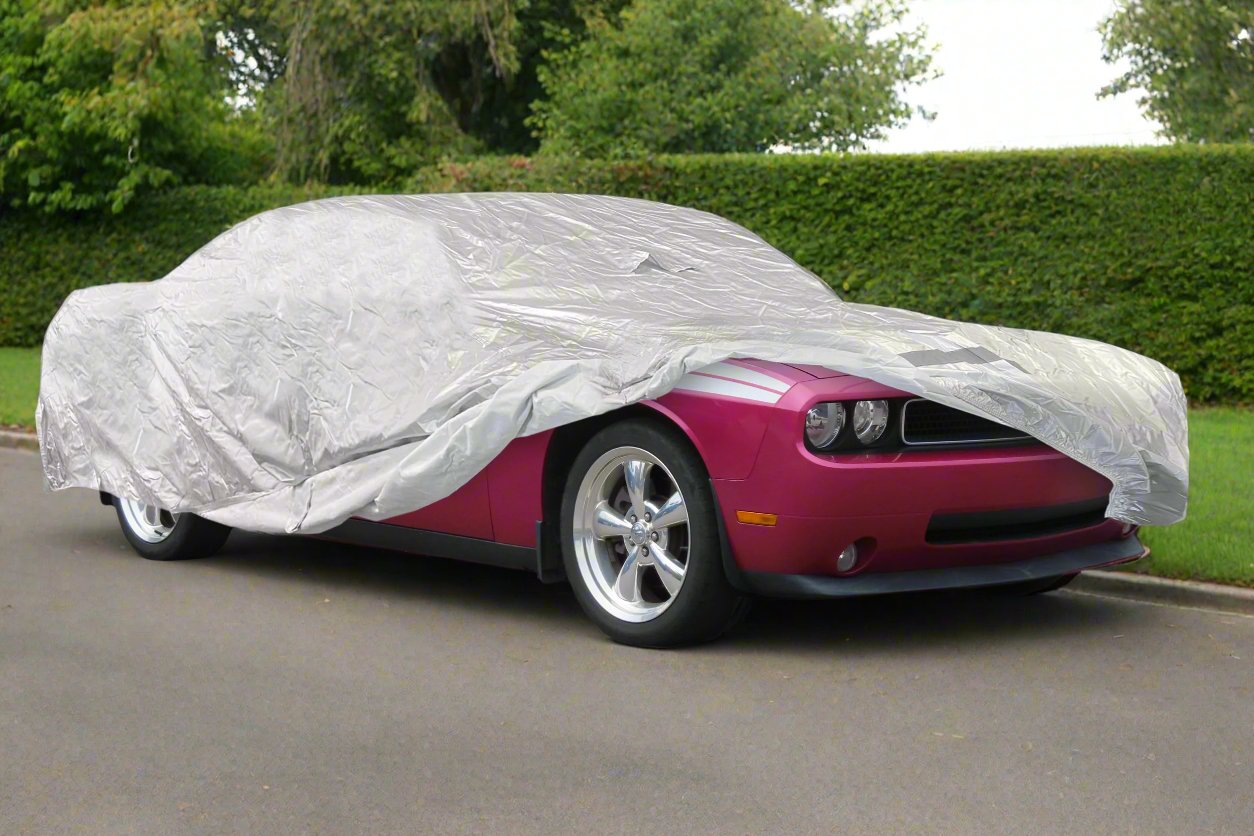 100 sports cars : cover picture of car … 30CF_2008-